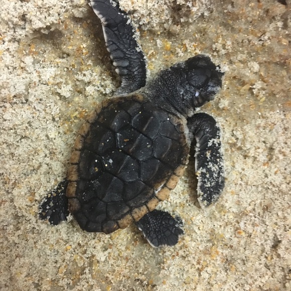 Welcome to my closet - Picture 4 of 7